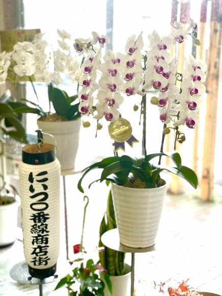 「川名花店」　（新潟県新潟市秋葉区）の花屋店舗写真3